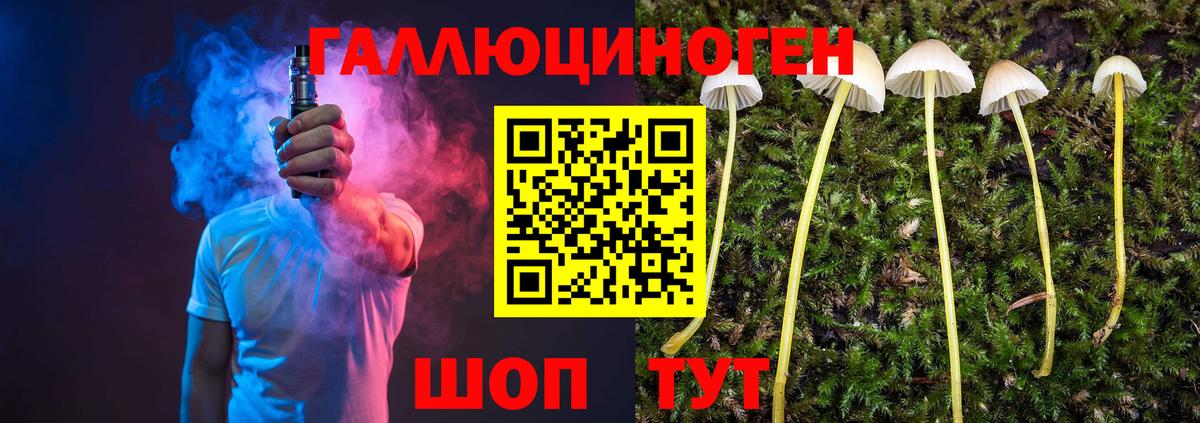 Галлюциногенные грибы Magic Shrooms  купить   Калининград  Вход с VPN 
